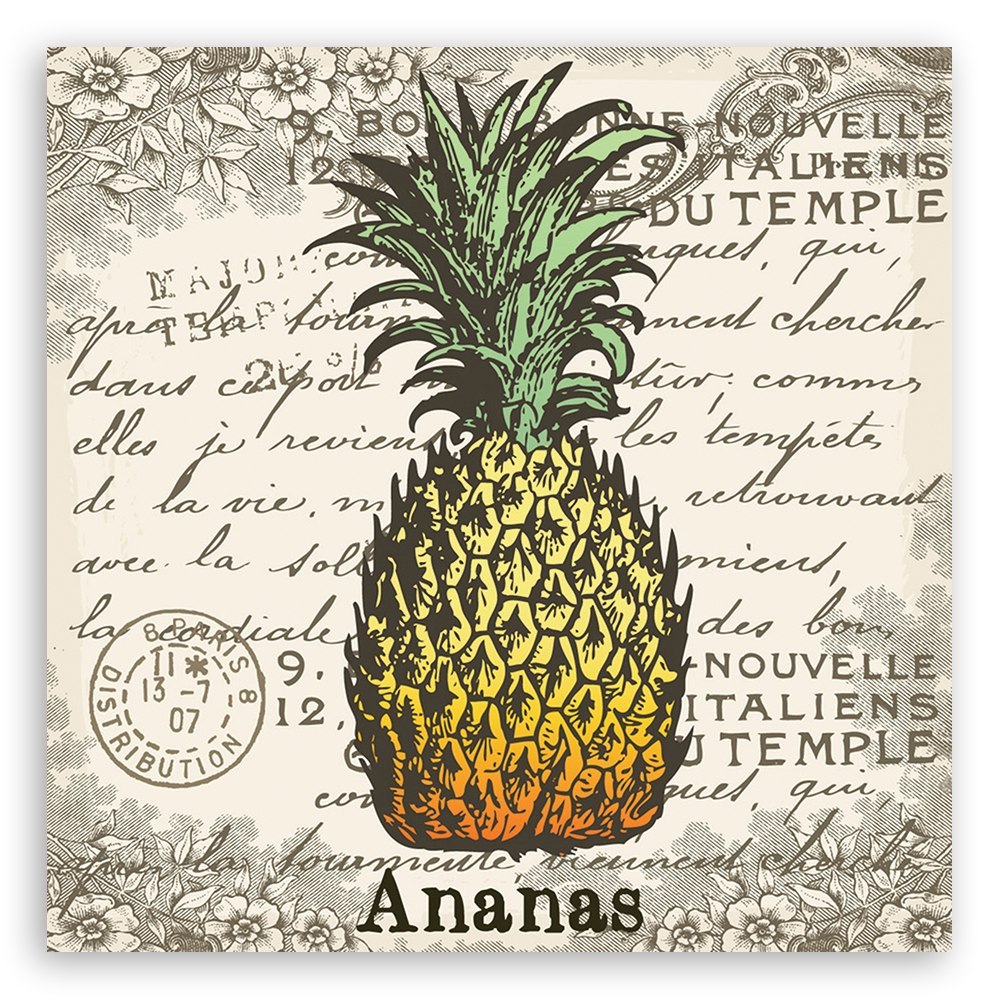 Emaga Obraz na płótnie, Ananas vintage - 60x60